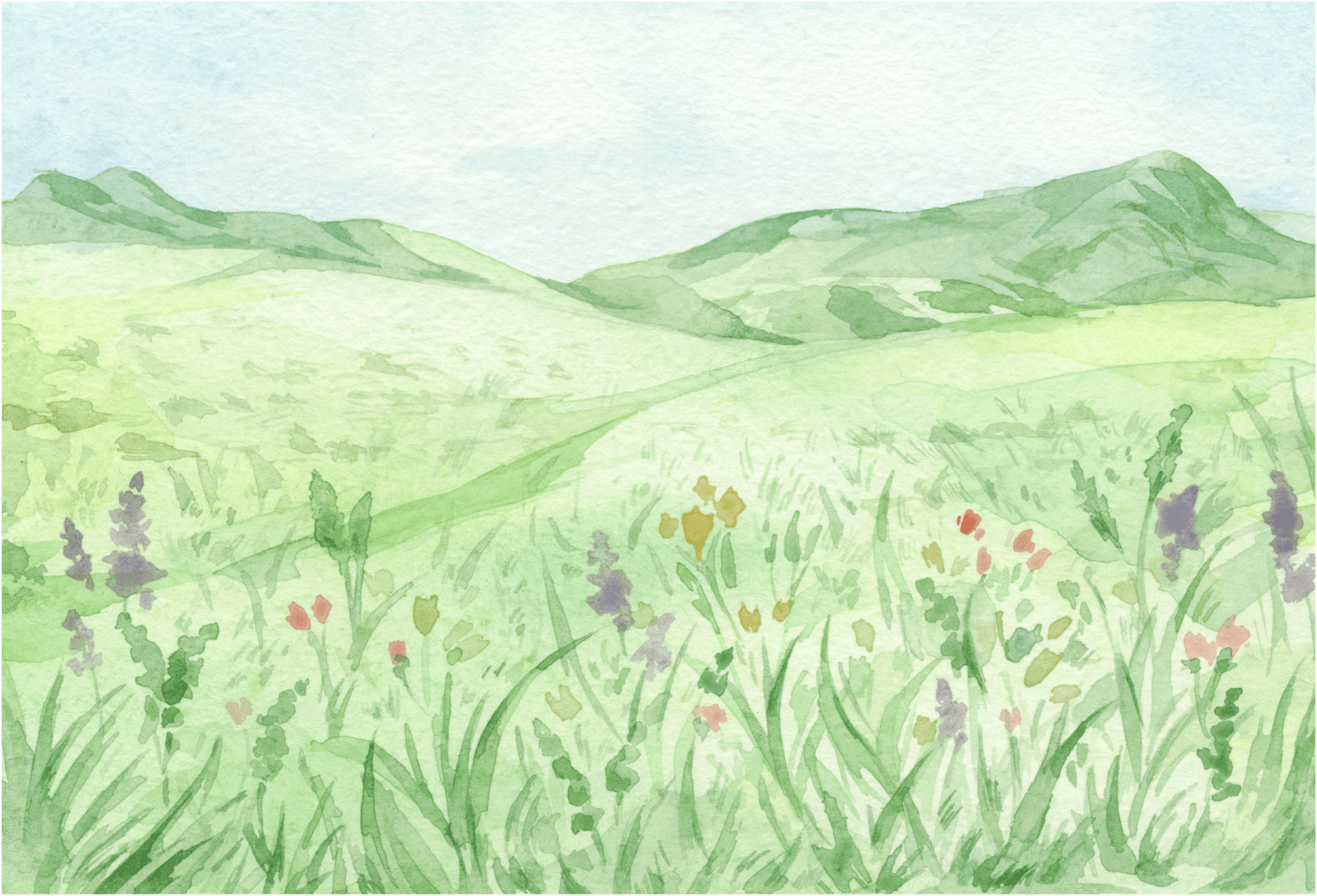 Watercolor Meadow